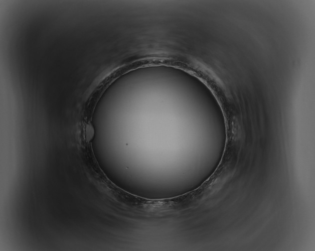 X0000100771352200806191233