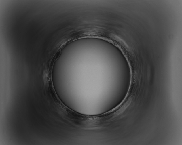 X0000100771353200806191233