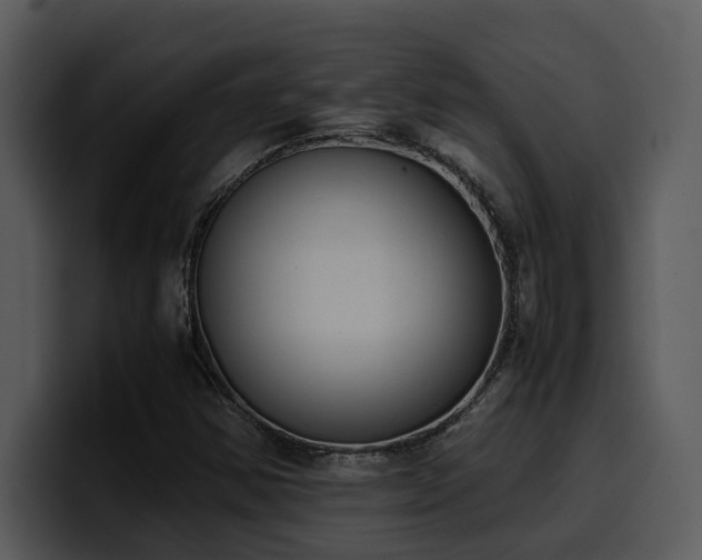 X0000100771354200806191233
