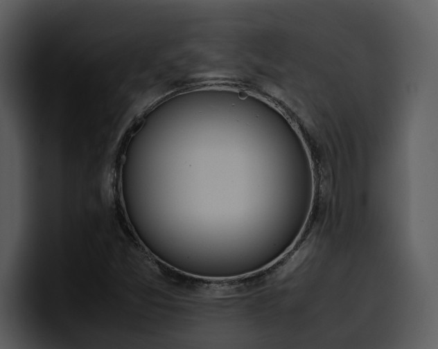 X0000100771357200806191232