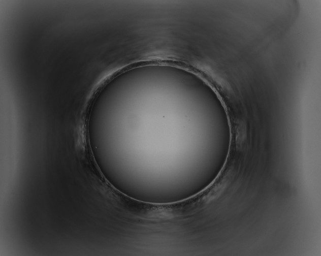 X0000100771358200806191232