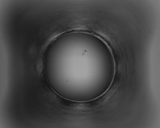 X0000100771359200806191232