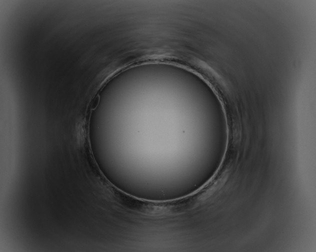 X0000100771361200806191232