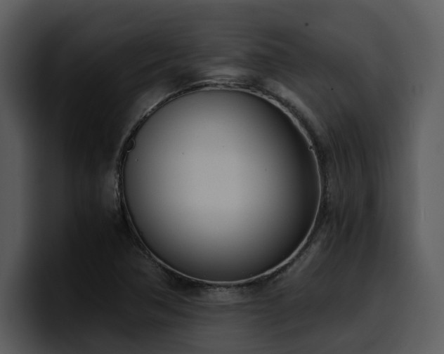 X0000100771362200806191232