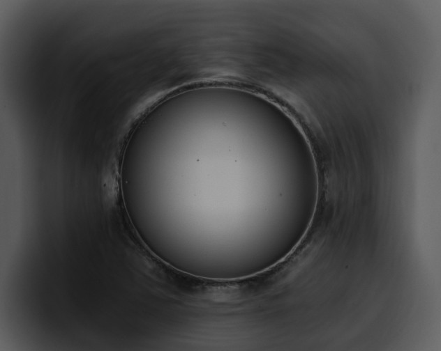 X0000100771363200806191232