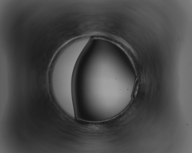 X0000100771364200806191232