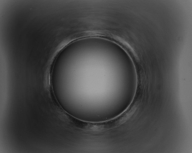 X0000100771365200806191232