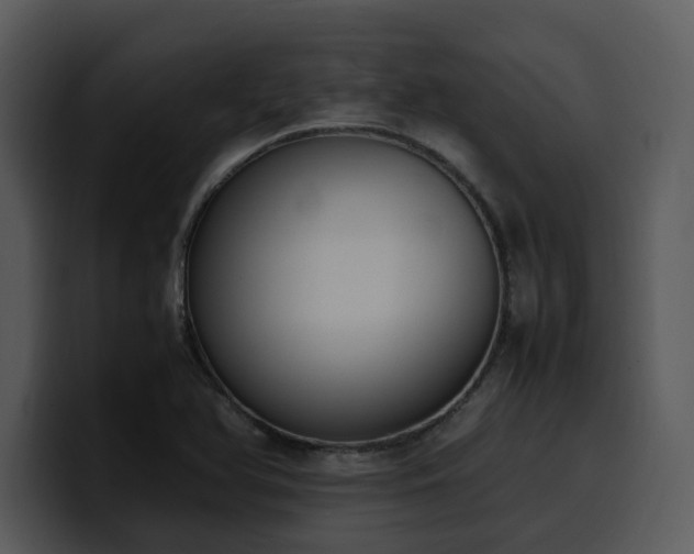 X0000100771366200806191232