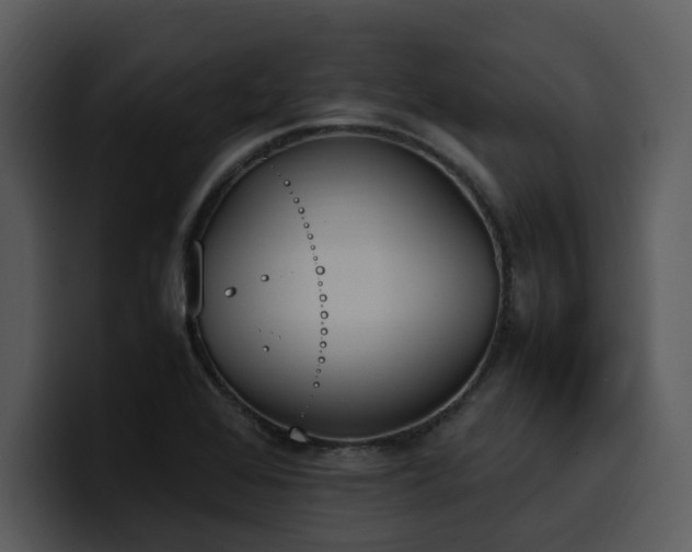 X0000100771368200806191232