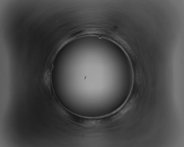 X0000100771369200806191232