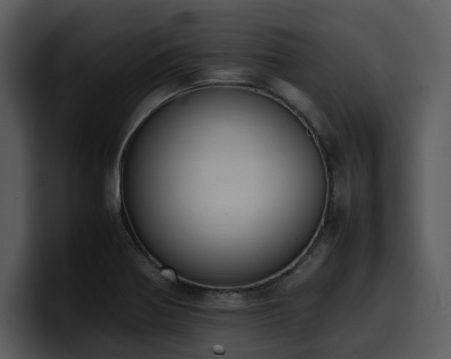 X0000100771370200806191232