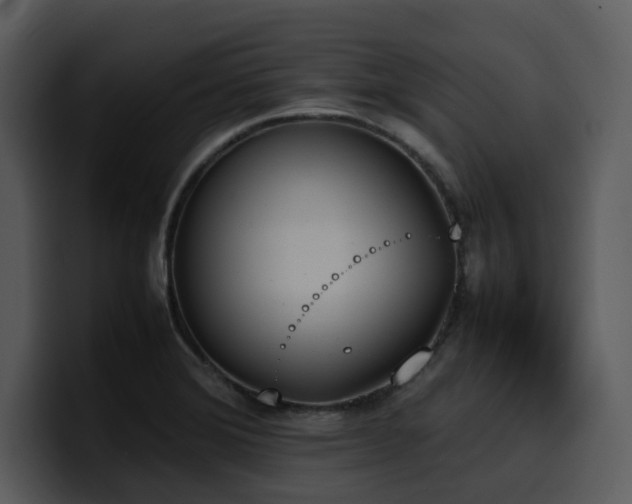 X0000100771372200806191232