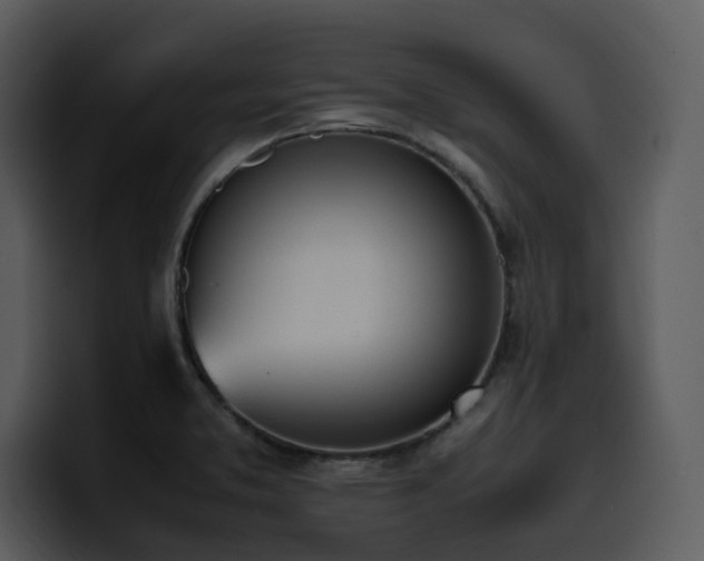 X0000100771373200806191232