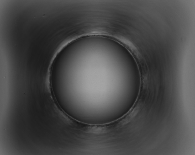 X0000100771374200806191232