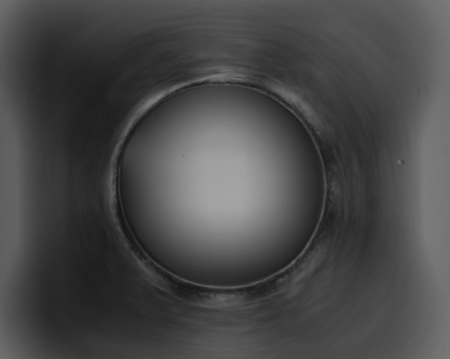 X0000100771375200806191232