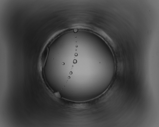 X0000100771376200806191232