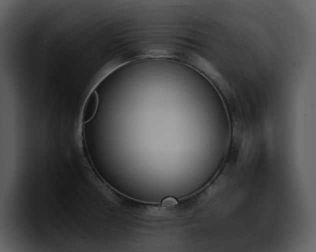 X0000100771378200806191232