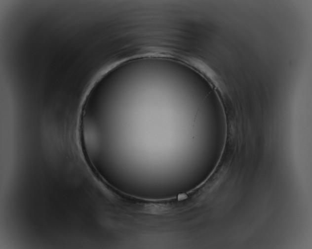 X0000100771379200806191232