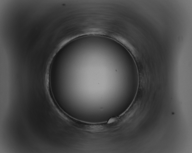 X0000100771383200806191232