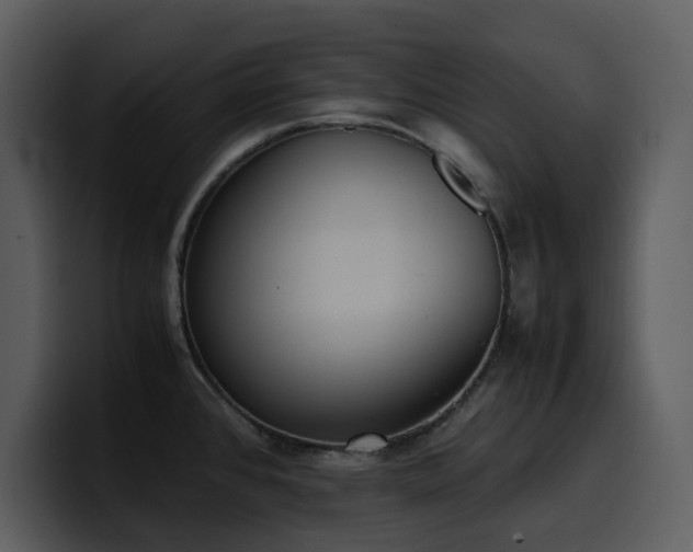X0000100771384200806191232