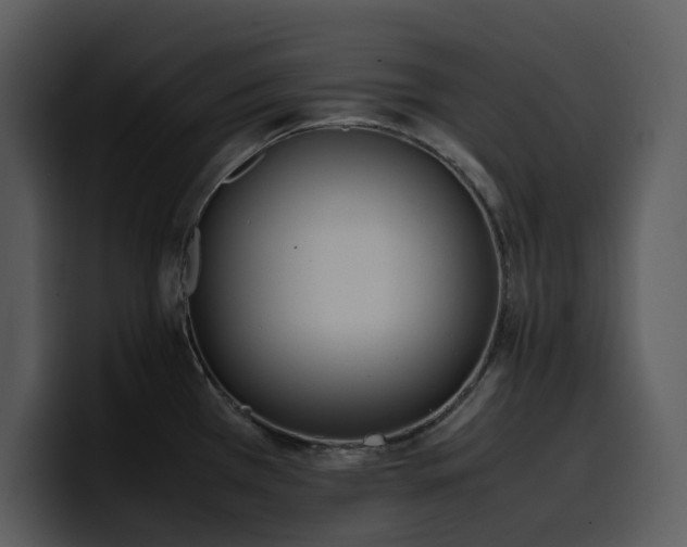 X0000100771385200806191232