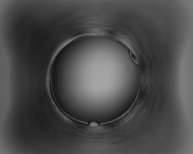 X0000100771387200806191232