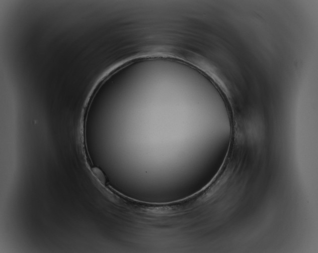 X0000100771388200806191232