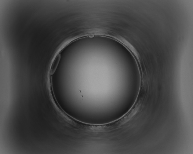 X0000100771389200806191232