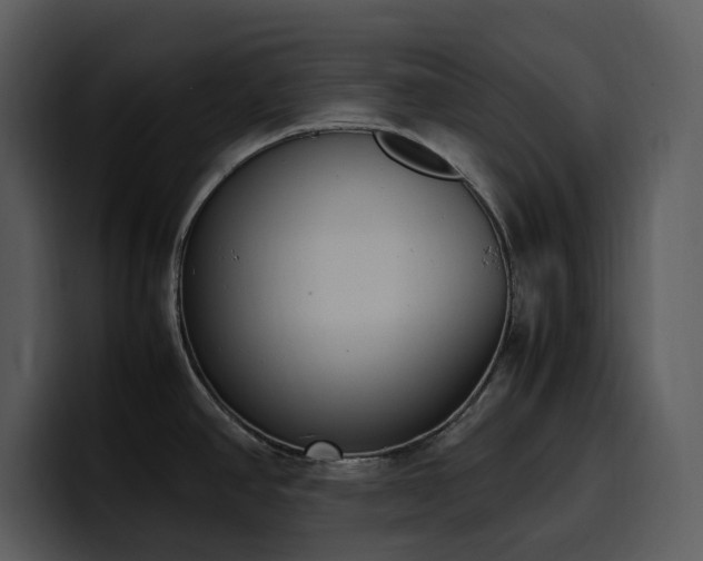 X0000100771390200806191232