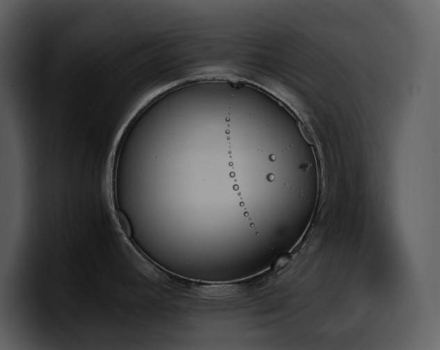 X0000100771392200806191232