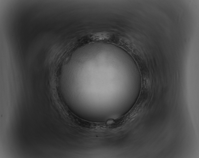 X0000100771393200806191231