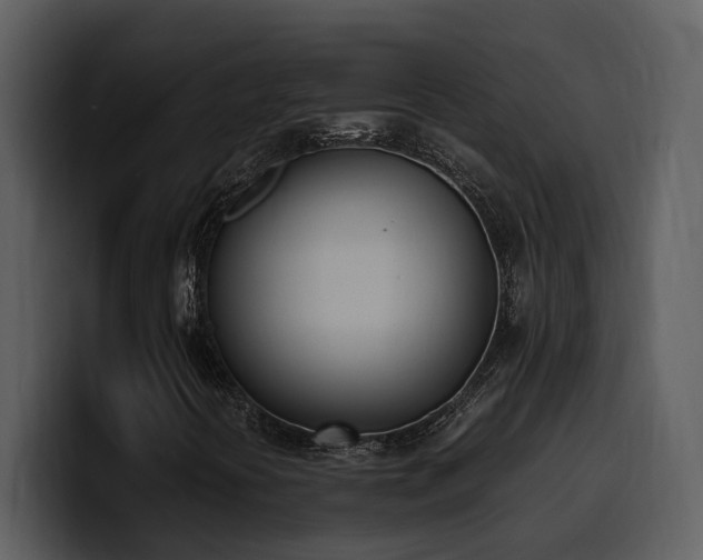 X0000100771394200806191231