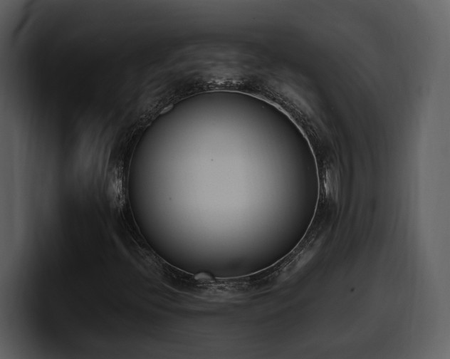 X0000100771396200806191231