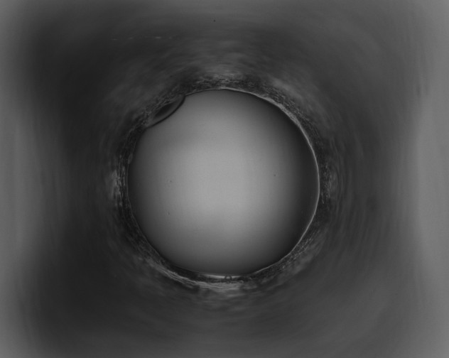 X0000100771397200806191231