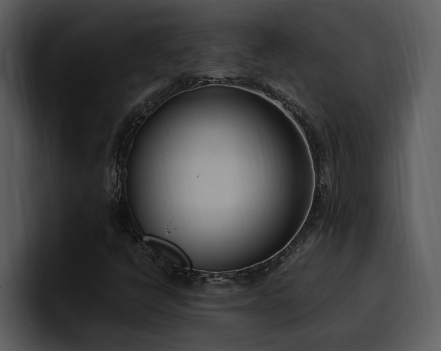 X0000100771398200806191231