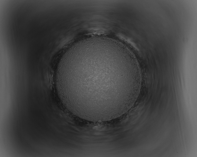 X0000100771399200806191231