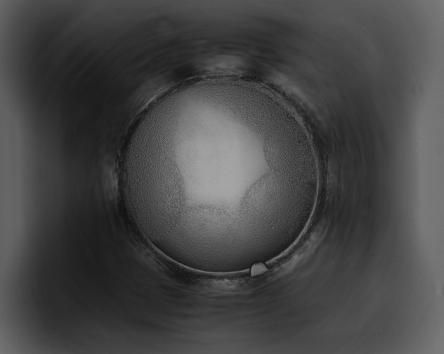X0000100771401200806191231