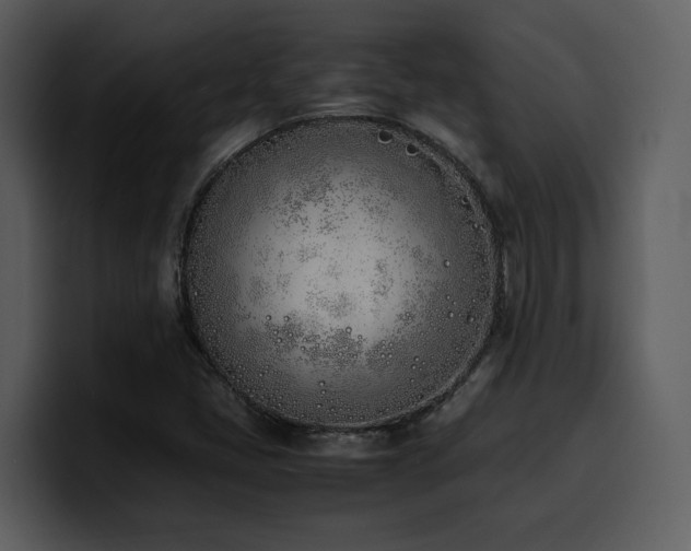 X0000100771405200806191232