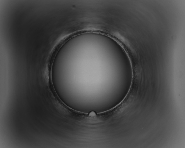 X0000100771408200806191232