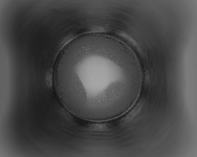X0000100771409200806191232