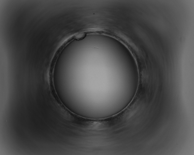 X0000100771412200806191232