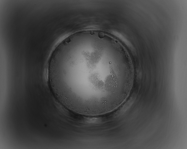 X0000100771413200806191232