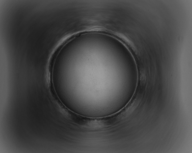 X0000100771414200806191232