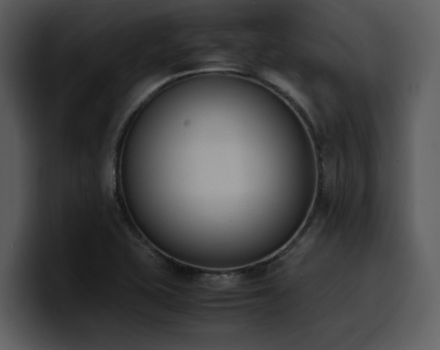 X0000100771415200806191232