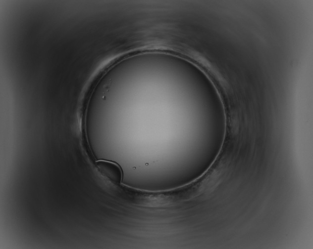 X0000100771416200806191232