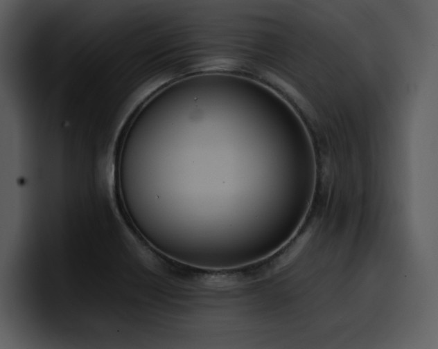 X0000100771418200806191232