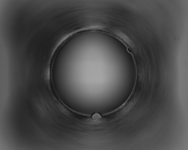 X0000100771420200806191232