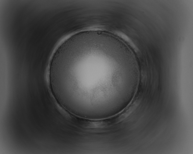 X0000100771421200806191232