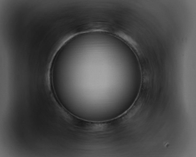 X0000100771423200806191232