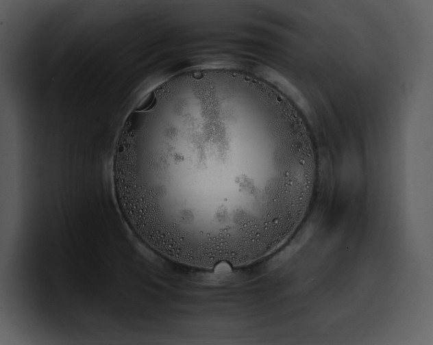 X0000100771425200806191232